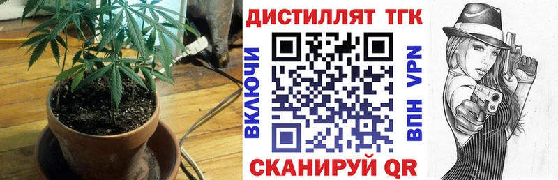ТГК концентрат  OMG сайт  Славск 